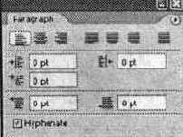 ������ Paragraph