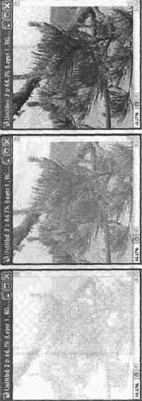 ��������� ����� � �� �������������