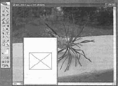 ���������� ����������� � ������