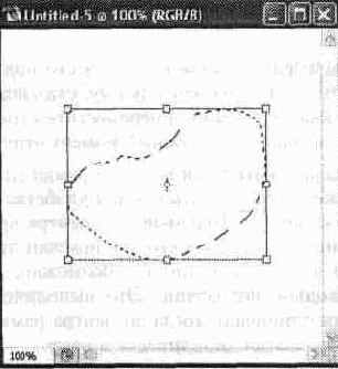 ����������������� ���������� �������