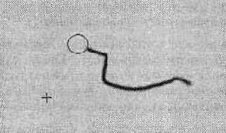 ���������� �������� ������