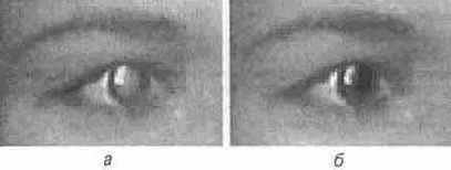 ���������� ������� ������� ����