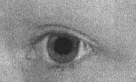 ���������� ������� ������� ����