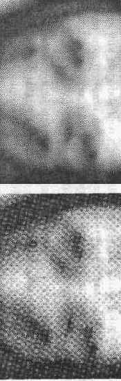 �������������� Adobe Photoshop CS 2 �� ��������� � ��������� ��������.