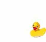 ����� �������� ����