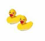 ����� �������� ����