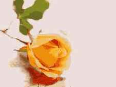 ������ PNG