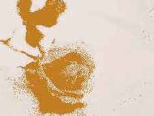 ���������� � ������� GIF