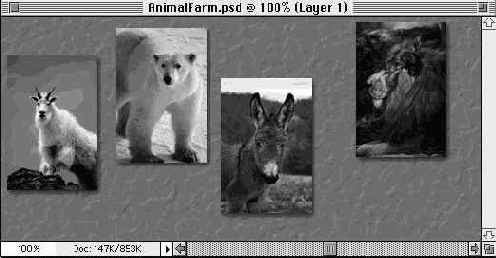 ������������, ����� � ������������