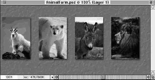 ������������, ����� � ������������