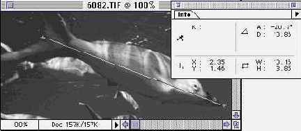 ������������� ����������