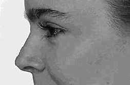 �������, ��������� � �����������