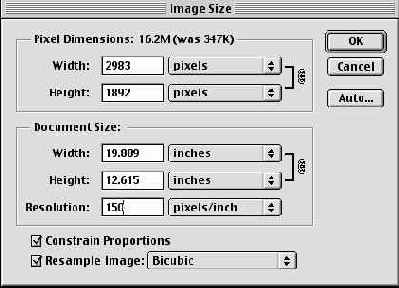 ���������� ���� Image Size