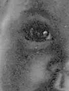 ���������� � ������ �����