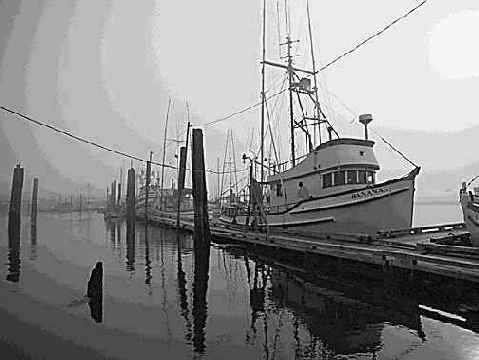 ����������� ����������� ���� Levels