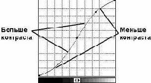 ���������� ���� Curves