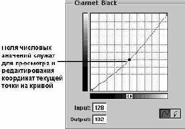 ���������� ���� Curves