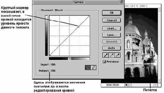 ���������� ���� Curves