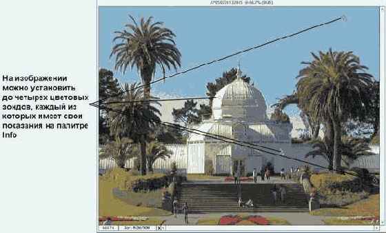 ������� Info