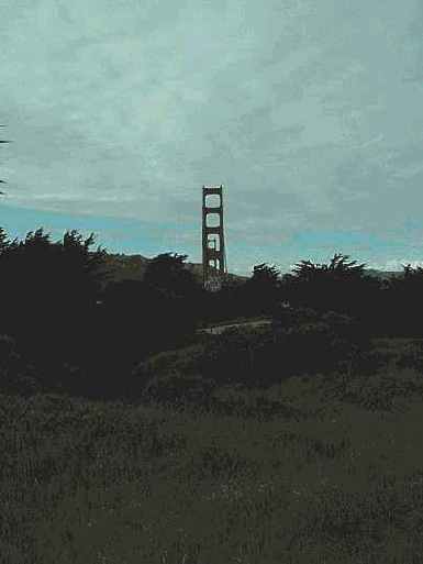 ������� ���� ����� �� �������������� �����