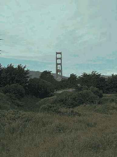 ������� ���� ����� �� �������������� �����