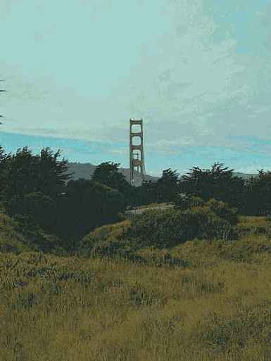 ������� ���� ����� �� �������������� �����