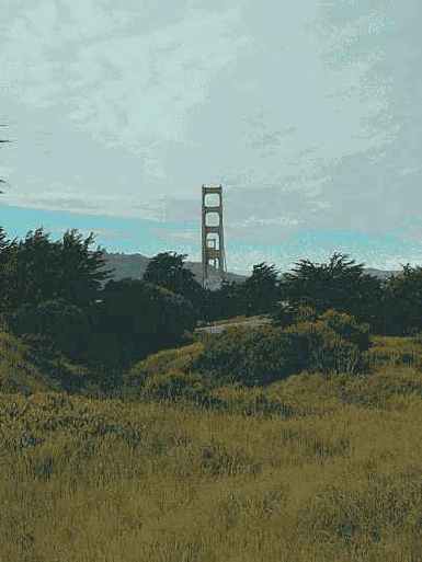 ������� ���� ����� �� �������������� �����