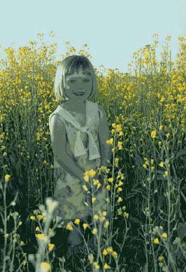 �������������� ������ �������������� �����