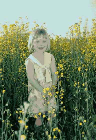 �������������� ������ �������������� �����