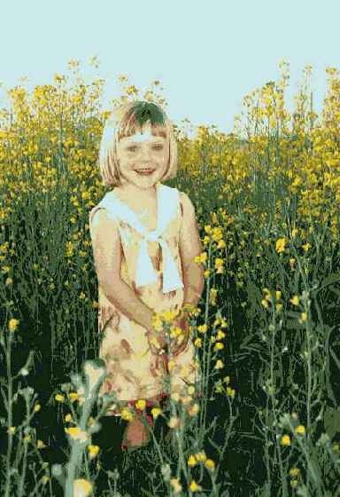 �������������� ������ �������������� �����