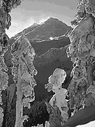 ����� Amount