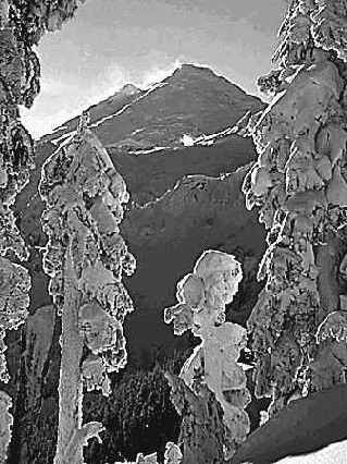 ����� Amount