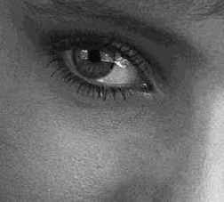 ����������� ���������