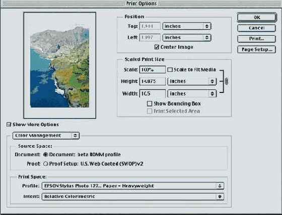 ���������� ���� Print Options