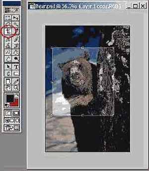 Масштабирование изображения