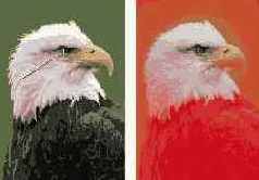 Градиентные маски.