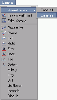 Для отображения вида камеры в