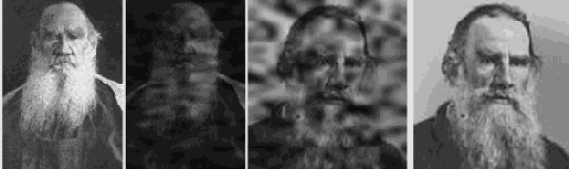 ������������ �������