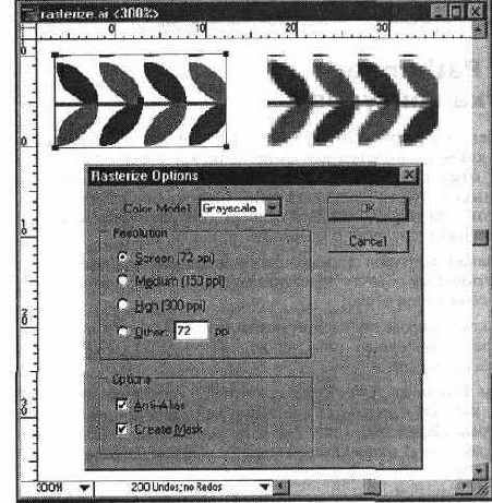 ���������� ���� Rasterize Options