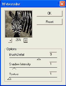 ������ Watercolor