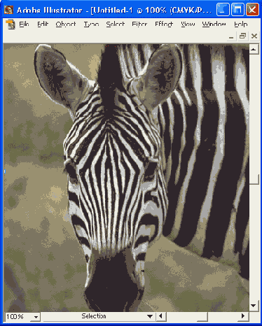 ������ Photo Crosshatch