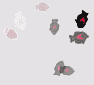 ��������� ���������� �����������