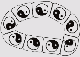 ���������� ���� Scatter Brushes