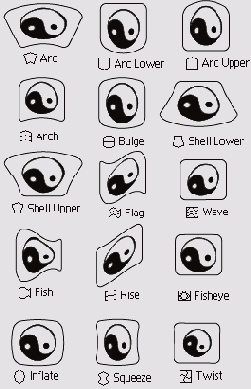 ���� ���������� ��� ������ Object