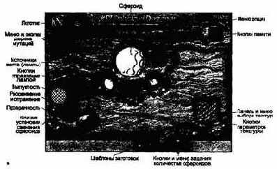 ���� �����