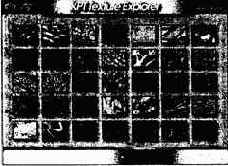 ���� �����