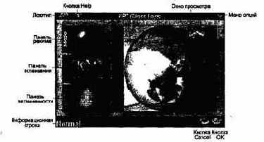 ���� �����