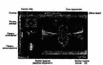 ���� �����