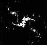 ������ ���������