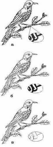 �������� ����������� �����������